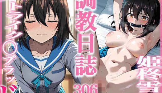 【無料で読める？】調教日誌 姫柊雪菜 【すぽんじけーき】