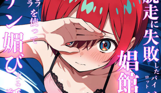 【無料で読める？】脱走に失敗したパイロットが娼館でキラキラを使ってチン媚する話 【派遣社員】