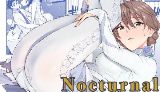 【無料で読める？】Nocturnal Swan 【Aether Mill】