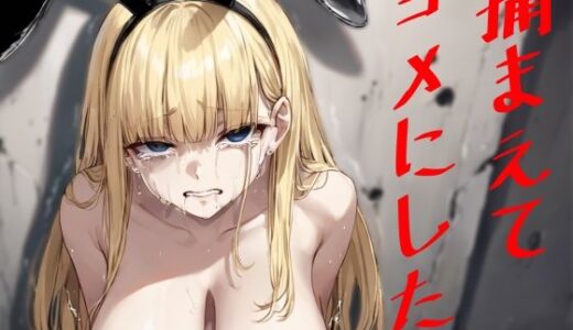 【無料で読める？】捕まえてヨメにした。 【レディーゴー山田】