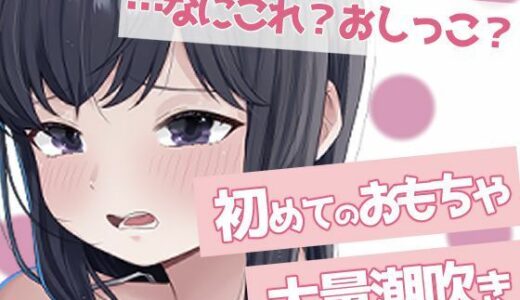 【無料で読める？】聞かないでほしい初めての潮吹きオナニー 【おもちやさん】