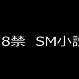 【無料で読める？】SM小説（6） 狙われた女子校生・成瀬璃子 上巻 【蘭雨】