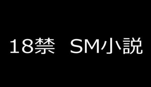 【無料で読める？】SM小説（6） 狙われた女子校生・成瀬璃子 上巻 【蘭雨】
